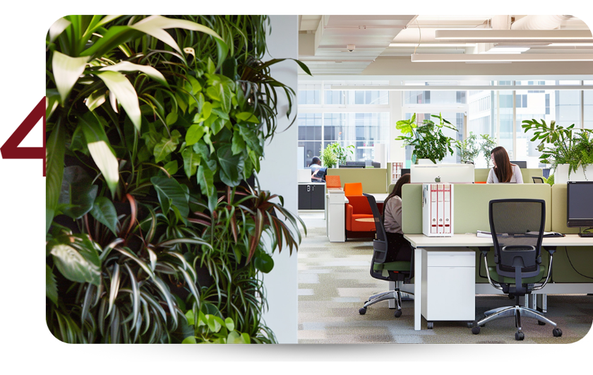 Incorporate Indoor Plants in the workplace