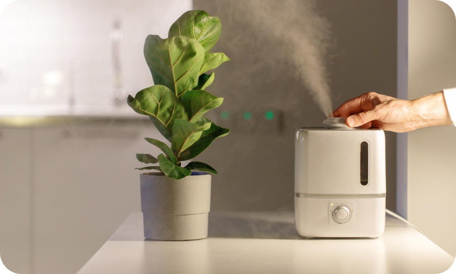 Air ioniser device releasing negative ions for cleaner indoor air